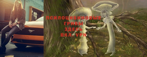 a pvp Абаза
