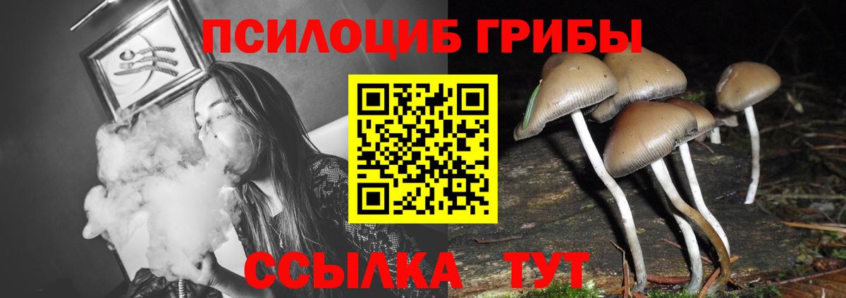 Россошь  COCAIN  Вход с VPN  ГАШИШ  Конопля  Меф   АМФЕТАМИН кристаллы 