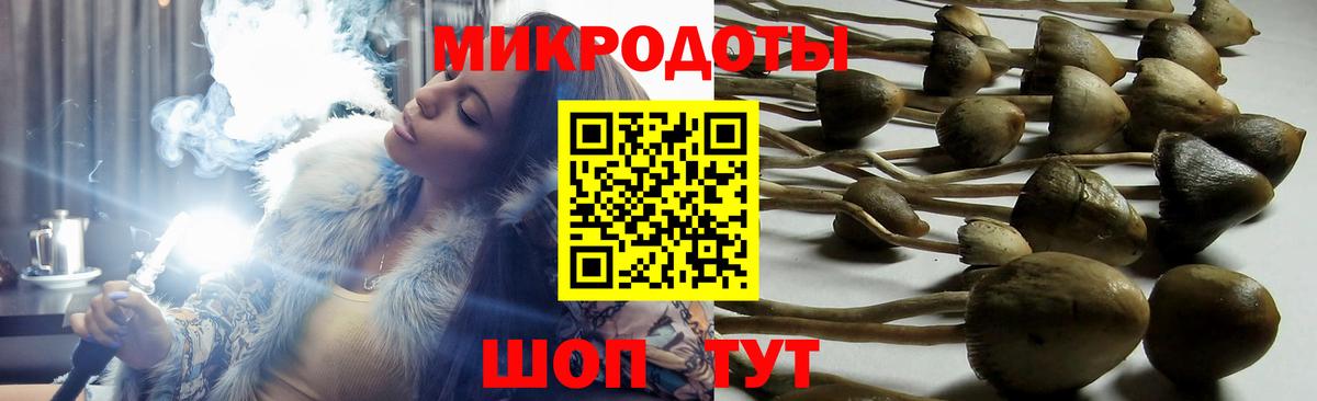 Россошь  Псилоцибиновые грибы Magic Shrooms  Псилоцибиновые грибы Psilocybine cubensis  Вход с VPN 