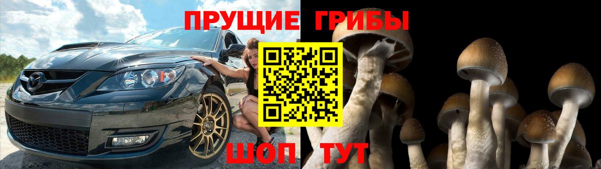 Галлюциногенные грибы Psilocybine cubensis Россошь
